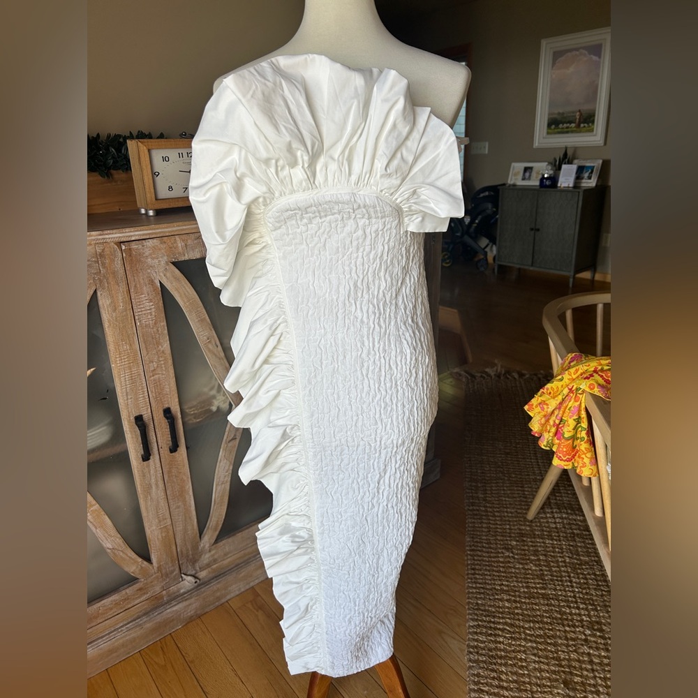 NWT Antonio Melani Sleeveless Ruffle
Cordelia Dress, size 2